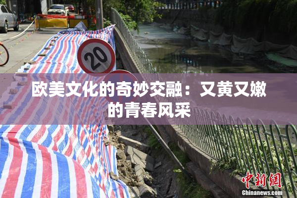 欧美文化的奇妙交融：又黄又嫩的青春风采