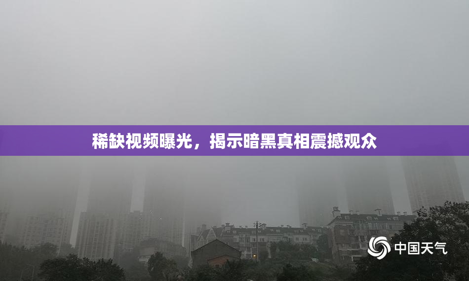 稀缺视频曝光，揭示暗黑真相震撼观众