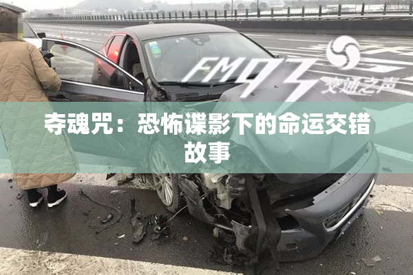 夺魂咒：恐怖谍影下的命运交错故事