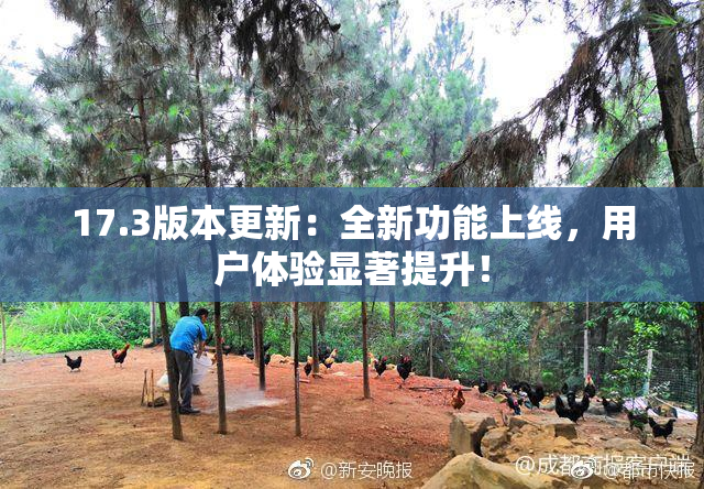 17.3版本更新：全新功能上线，用户体验显著提升！