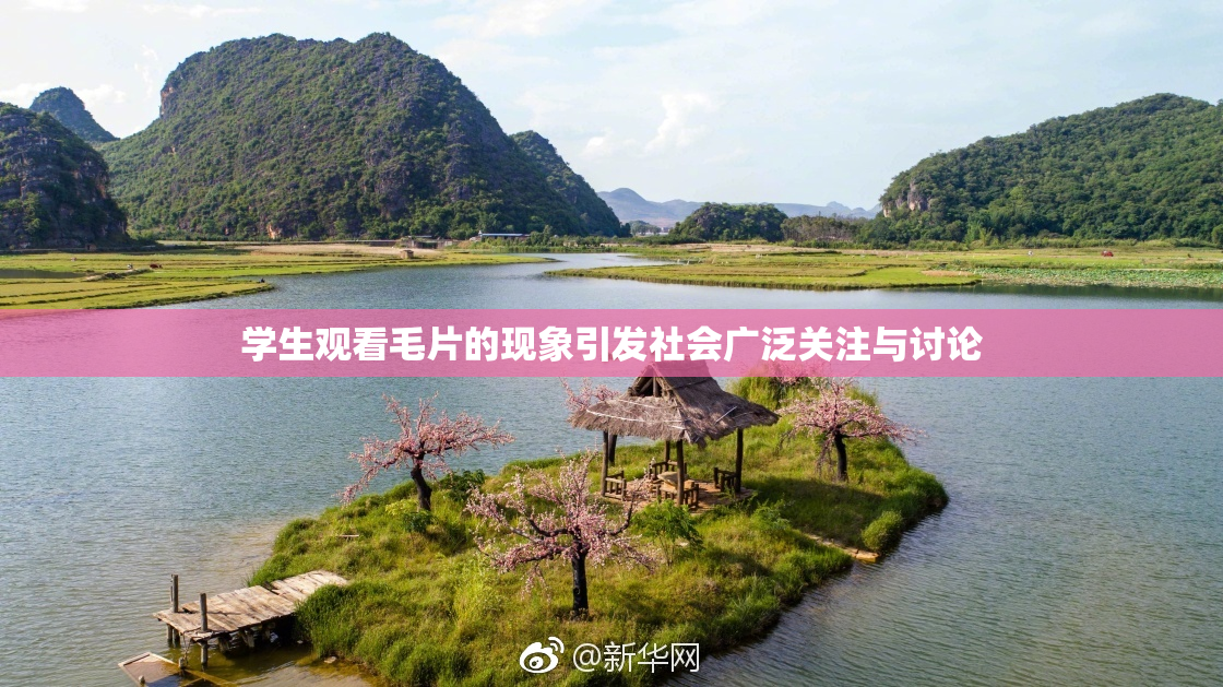 学生观看毛片的现象引发社会广泛关注与讨论