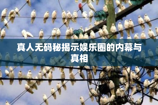 真人无码秘揭示娱乐圈的内幕与真相