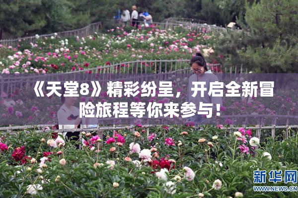 《天堂8》精彩纷呈，开启全新冒险旅程等你来参与！