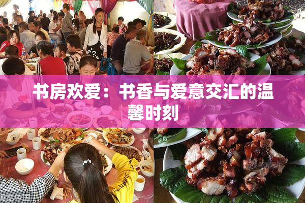 书房欢爱：书香与爱意交汇的温馨时刻