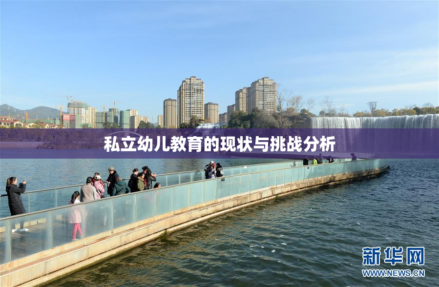 私立幼儿教育的现状与挑战分析