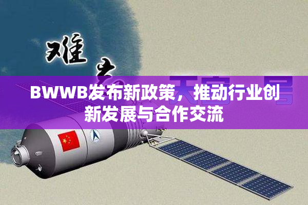 BWWB发布新政策，推动行业创新发展与合作交流