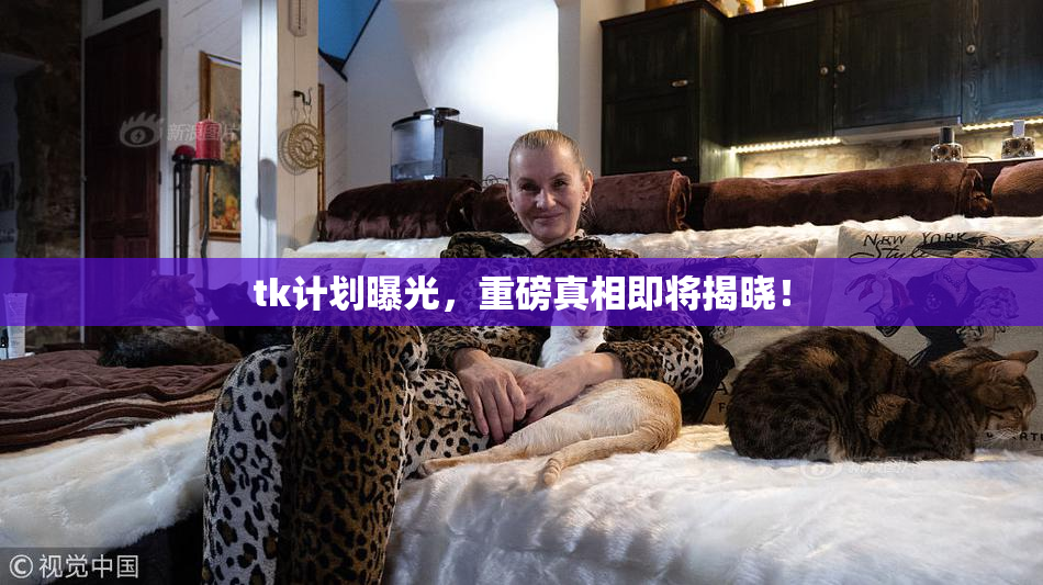 tk计划曝光，重磅真相即将揭晓！