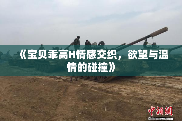 《宝贝乖高H情感交织，欲望与温情的碰撞》