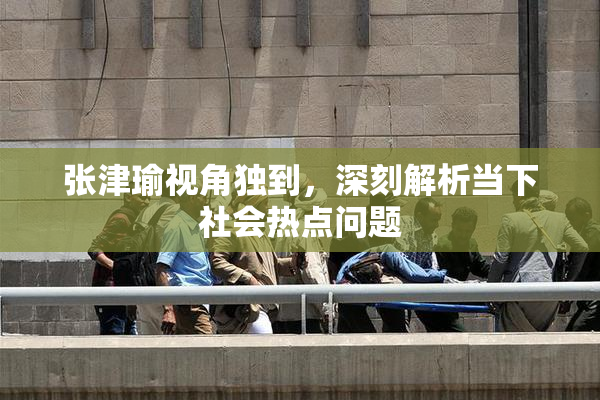 张津瑜视角独到，深刻解析当下社会热点问题