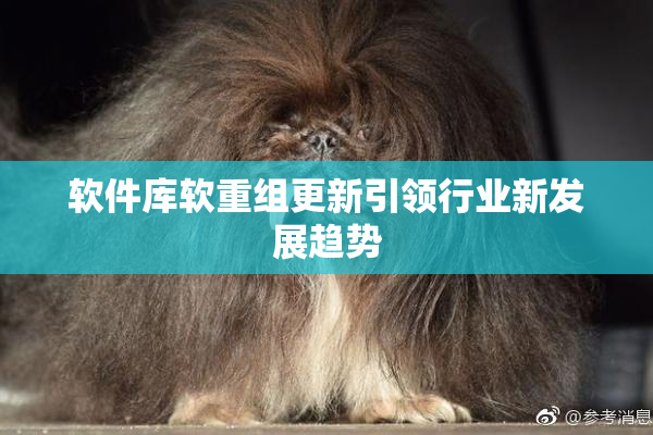 软件库软重组更新引领行业新发展趋势