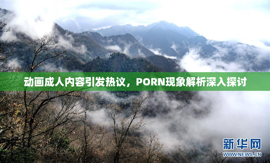 动画成人内容引发热议，PORN现象解析深入探讨