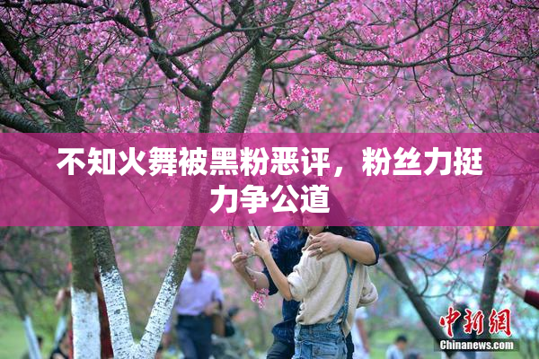 不知火舞被黑粉恶评，粉丝力挺力争公道