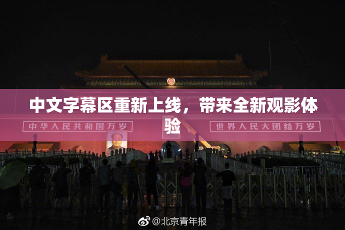 中文字幕区重新上线，带来全新观影体验