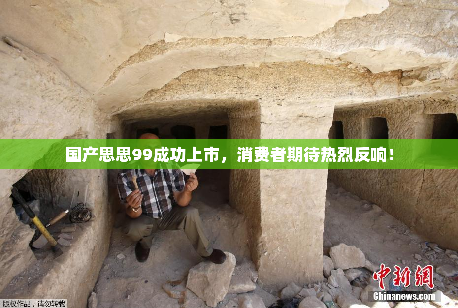 国产思思99成功上市，消费者期待热烈反响！