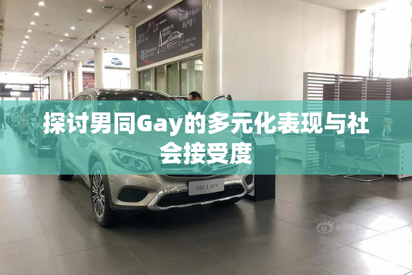 探讨男同Gay的多元化表现与社会接受度