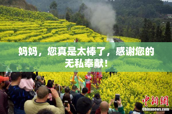 妈妈，您真是太棒了，感谢您的无私奉献！