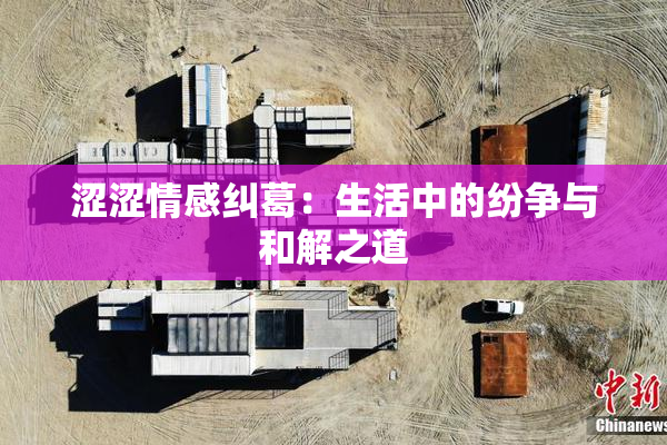 涩涩情感纠葛：生活中的纷争与和解之道