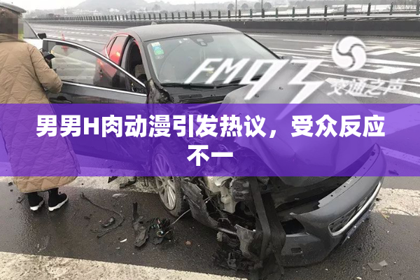 男男H肉动漫引发热议，受众反应不一