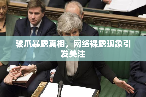 骇爪暴露真相，网络裸露现象引发关注