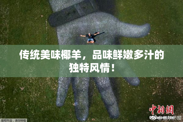 传统美味椰羊，品味鲜嫩多汁的独特风情！