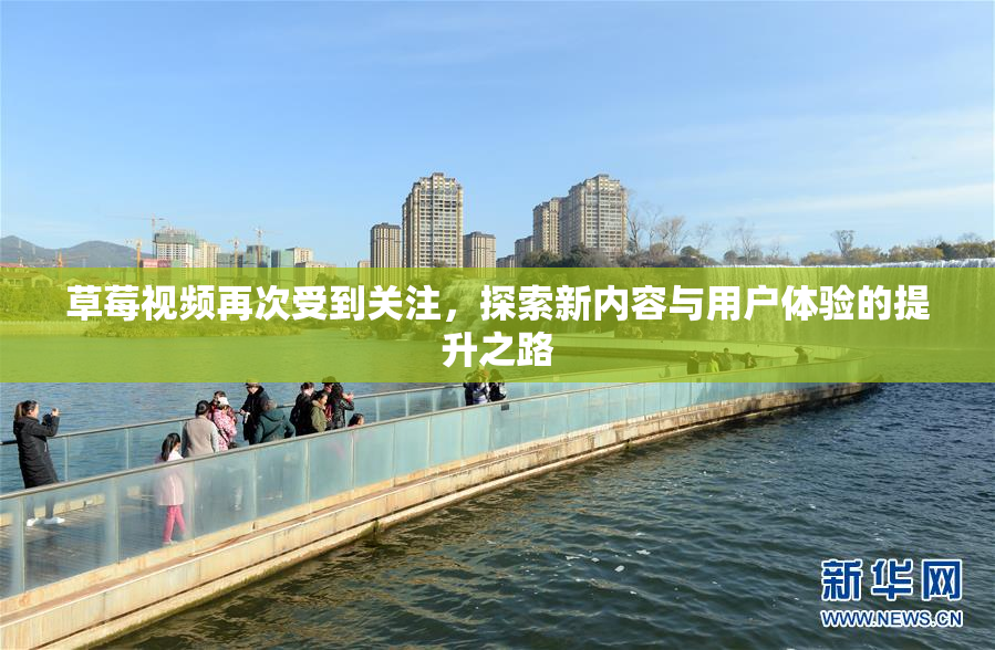 草莓视频再次受到关注，探索新内容与用户体验的提升之路