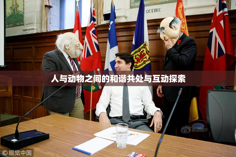 人与动物之间的和谐共处与互动探索
