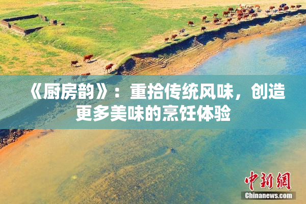 《厨房韵》：重拾传统风味，创造更多美味的烹饪体验
