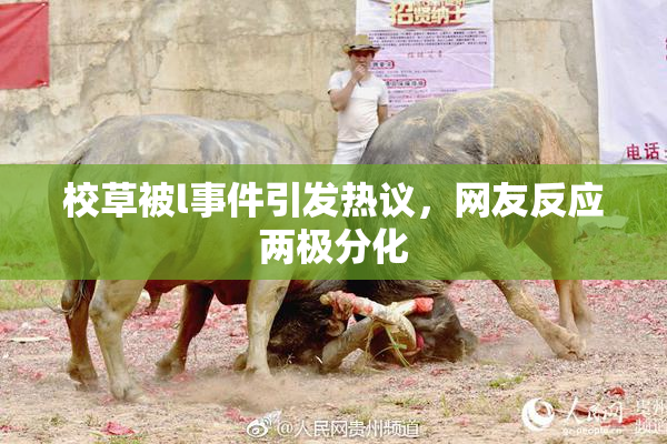 校草被l事件引发热议，网友反应两极分化