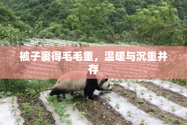 被子裹得毛毛重，温暖与沉重并存