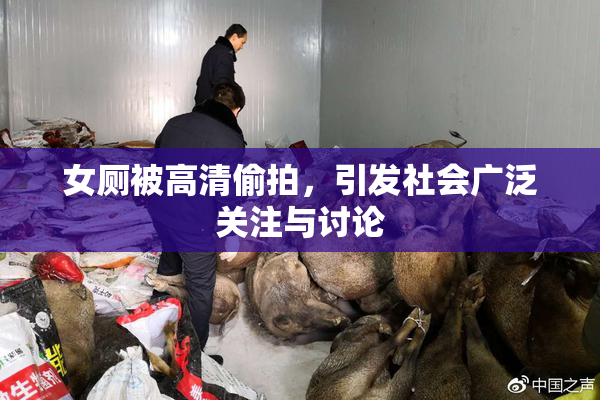 女厕被高清偷拍，引发社会广泛关注与讨论