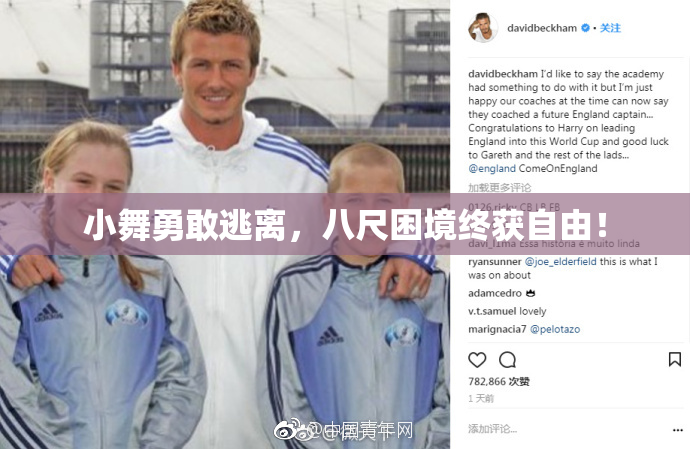 小舞勇敢逃离，八尺困境终获自由！