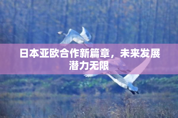 日本亚欧合作新篇章，未来发展潜力无限