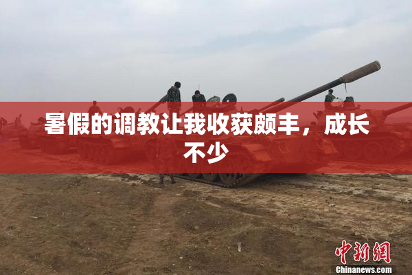 暑假的调教让我收获颇丰，成长不少