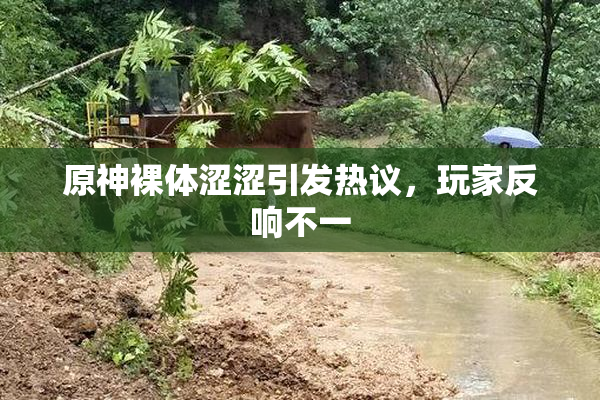 原神裸体涩涩引发热议，玩家反响不一