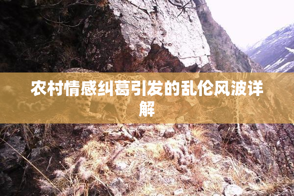 农村情感纠葛引发的乱伦风波详解