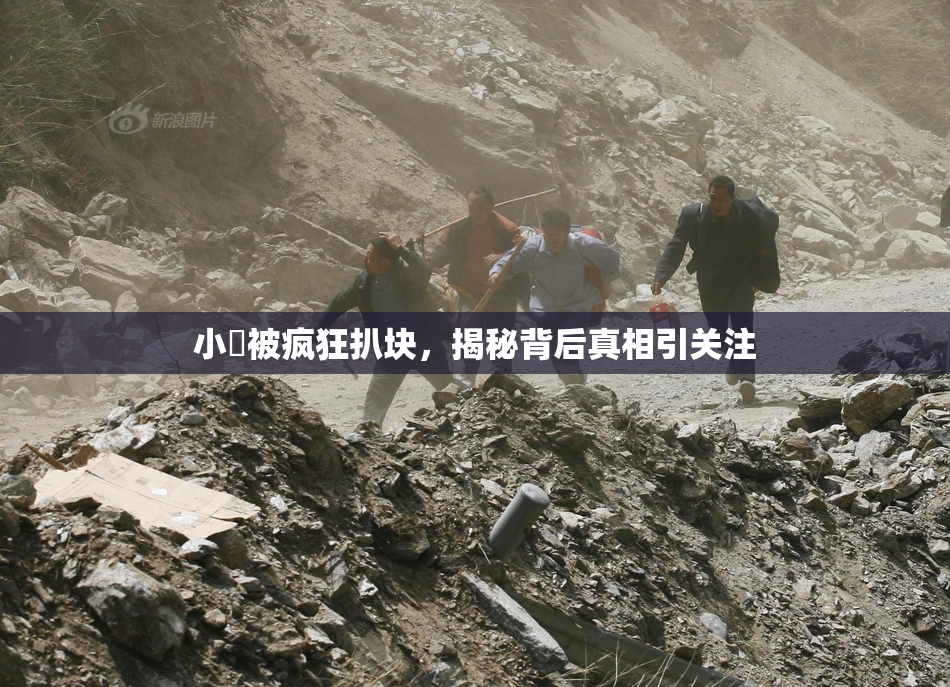 小泬被疯狂扒块，揭秘背后真相引关注
