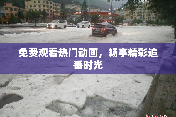 免费观看热门动画，畅享精彩追番时光