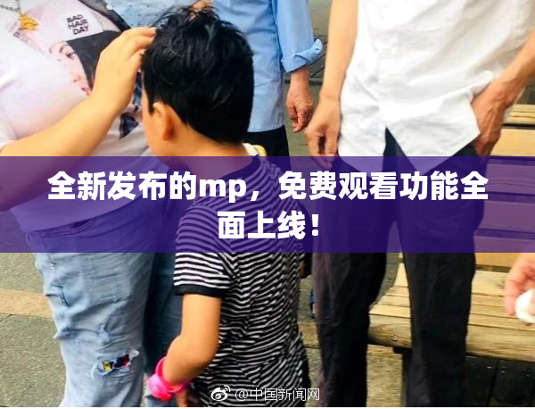 全新发布的mp，免费观看功能全面上线！