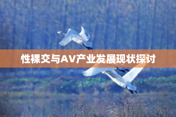 性裸交与AV产业发展现状探讨