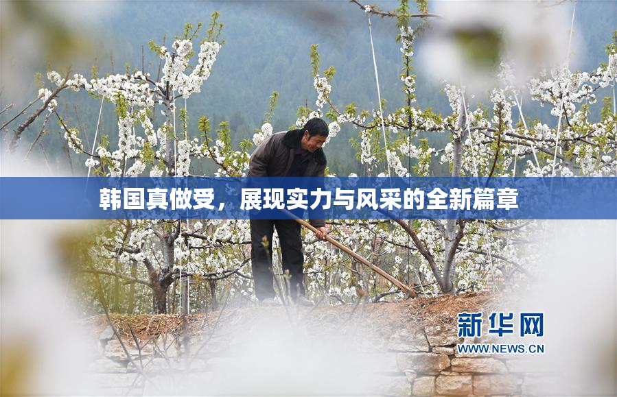 韩国真做受，展现实力与风采的全新篇章