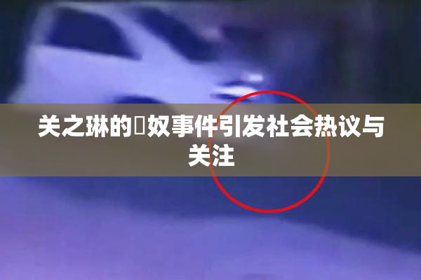 关之琳的婬奴事件引发社会热议与关注