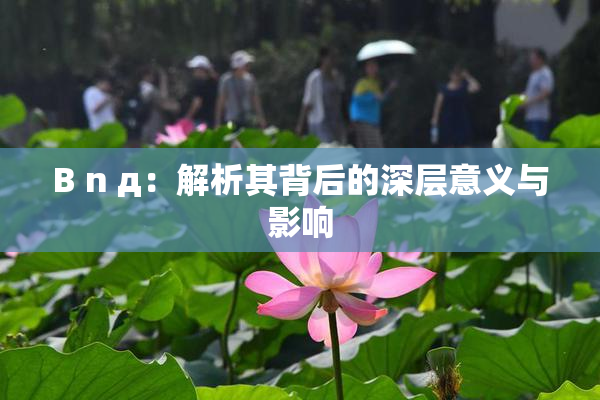 B n д：解析其背后的深层意义与影响