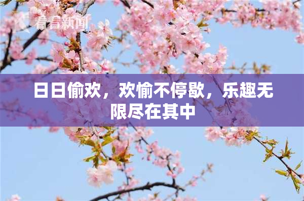 日日偷欢，欢愉不停歇，乐趣无限尽在其中