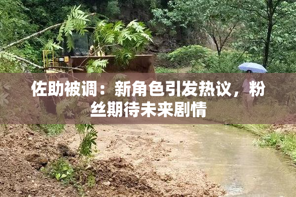 佐助被调：新角色引发热议，粉丝期待未来剧情