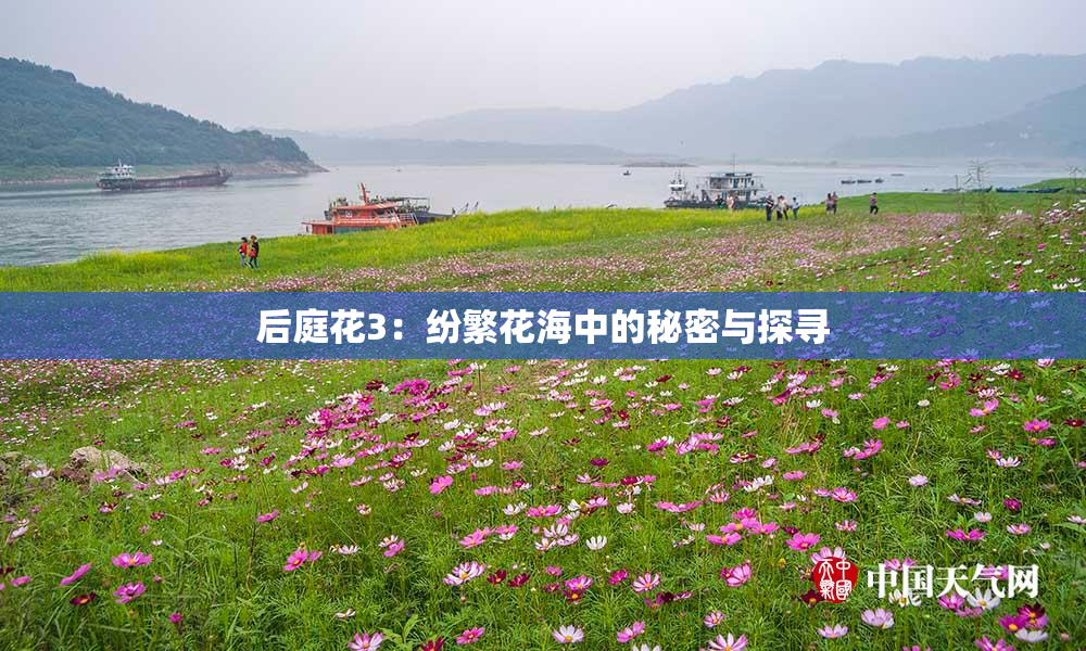 后庭花3：纷繁花海中的秘密与探寻