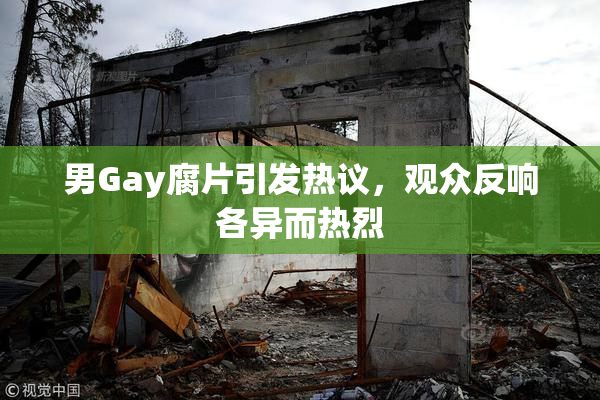 男Gay腐片引发热议，观众反响各异而热烈