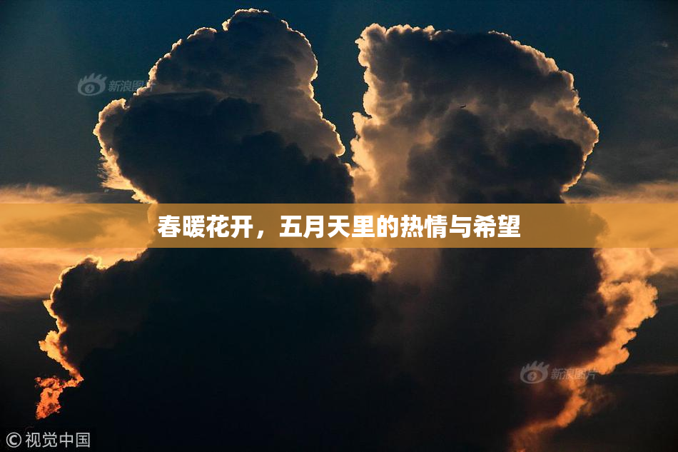 春暖花开，五月天里的热情与希望