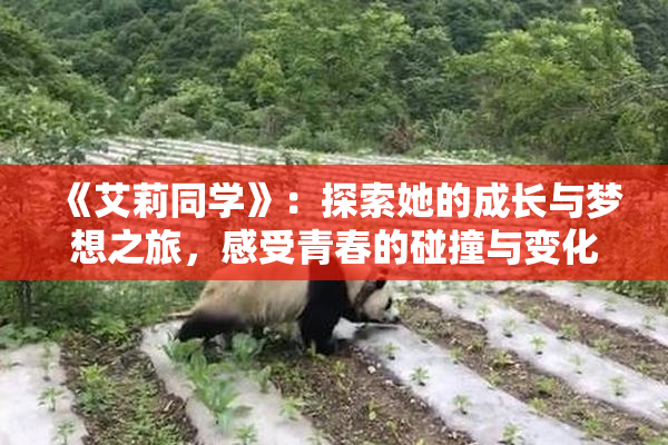《艾莉同学》：探索她的成长与梦想之旅，感受青春的碰撞与变化
