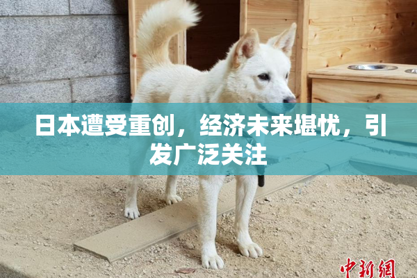 日本遭受重创，经济未来堪忧，引发广泛关注