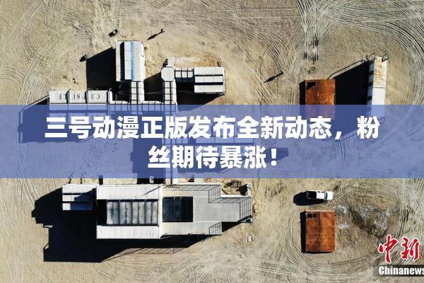 三号动漫正版发布全新动态，粉丝期待暴涨！